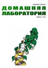 Интернет-журнал Домашняя лаборатория, 2008 №1