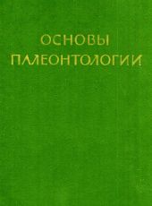 Водоросли, мохообразные, псилофитовые, плауновидные, членистостебельные, папоротники