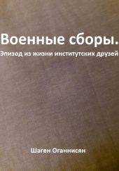 Военные сборы. Эпизод из жизни институтских друзей