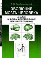 Эволюция мозга человека: Анализ эндокраниометрических признаков гоминид