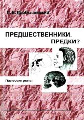 Предшественники. Предки? Часть V. Палеоантропы