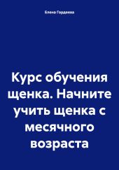 Курс обучения щенка. Начните учить щенка с месячного возраста