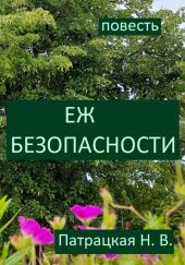 Еж безопасности