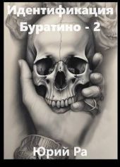 Идентификация Буратино 2