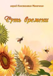 Суть времени