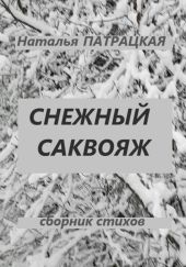 Снежный саквояж