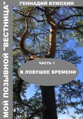 Мой позывной «Вестница»Часть 1 В ловушке времени