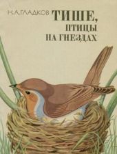 Тише, птицы на гнездах