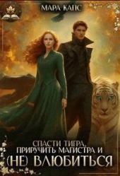 Спасти тигра, приручить магистра и (НЕ) влюбиться