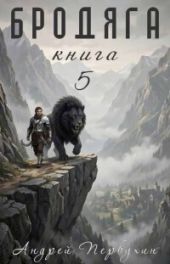 Бродяга. Том 5