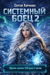 Системный боец 2