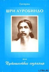 Шри Ауробиндо, или Путешествие Сознания