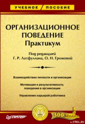 Организационное поведение: Практикум