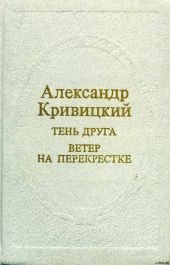 Тень друга. Ветер на перекрестке