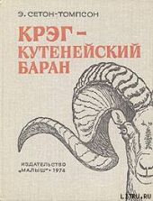 Крэг - кутенейский баран