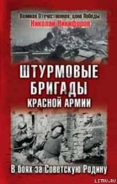 Штурмовые бригады Красной Армии в бою