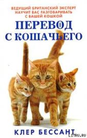 Перевод с кошачьего: Научитесь разговаривать со своей кошкой