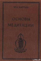 Основы медитации. Вводный практический курс