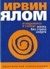 Вглядываясь в солнце. Жизнь без страха смерти