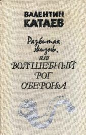 Разбитая жизнь, или Волшебный рог Оберона