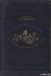 От Кяхты до Кульджи. Путешествие в Центральную Азию и Китай