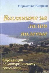 «Взгляните на лилии полевые…» Курс лекций по литургическому богословию