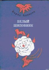 Деревянное царство (с рисунками О. Биантовской)