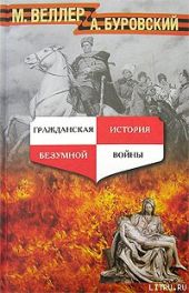 Гражданская история безумной войны