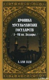 Хроники мусульманских государств I-VII вв. Хиджры