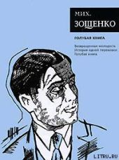 Голубая книга