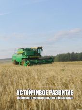 УСТОЙЧИВОЕ РАЗВИТИЕ ИРБИТСКОГО МУНИЦИПАЛЬНОГО ОБРАЗОВАНИЯ Часть вторая