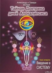 Тайная Доктрина дней Апокалипсиса. Книга 4. Введение в систему