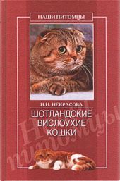 Шотландские вислоухие кошки