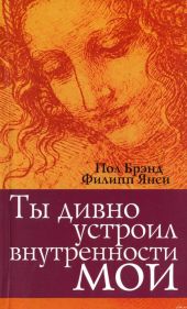 Ты дивно устроил внутренности мои